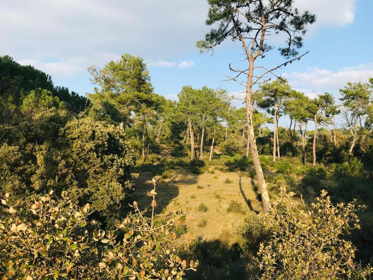 Le Ros Eden Leilighet Saint-Hilaire-de-Riez Eksteriør bilde